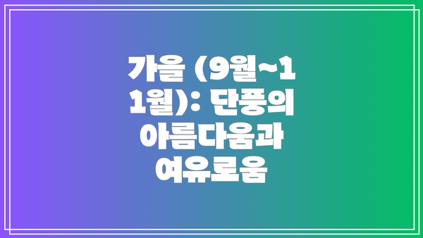 가을 (9월~11월): 단풍의 아름다움과 여유로움