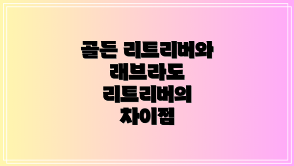 골든 리트리버와 래브라도 리트리버의 차이점