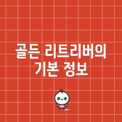 골든 리트리버의 기본 정보