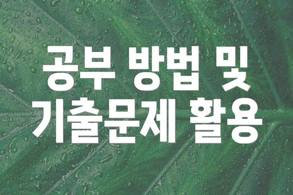 공부 방법 및 기출문제 활용
