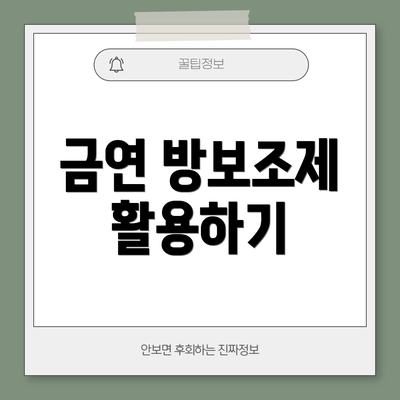 금연 방보조제 활용하기