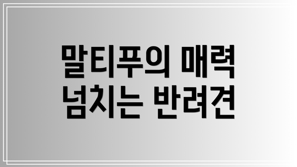 말티푸의 매력 넘치는 반려견