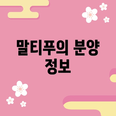 말티푸의 분양 정보