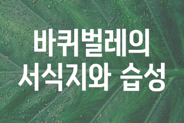 바퀴벌레의 서식지와 습성
