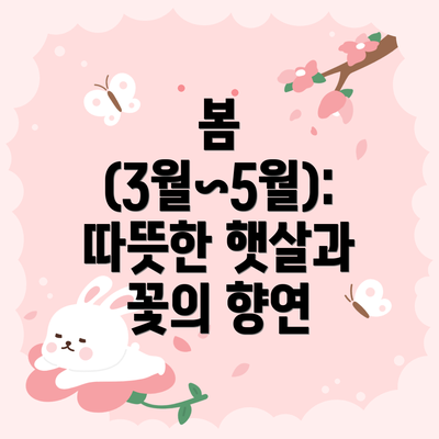봄 (3월~5월): 따뜻한 햇살과 꽃의 향연