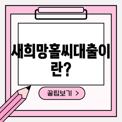 새희망홀씨대출이란?