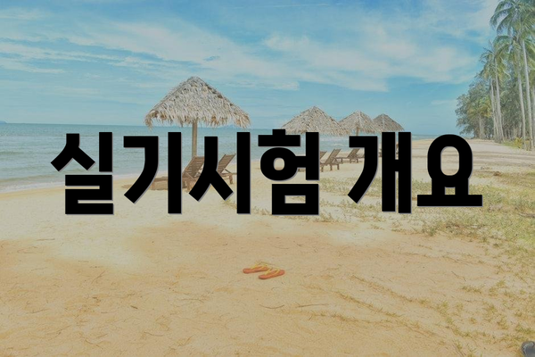 실기시험 개요