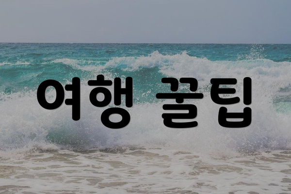 여행 꿀팁