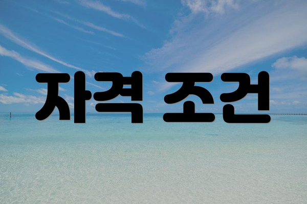 자격 조건