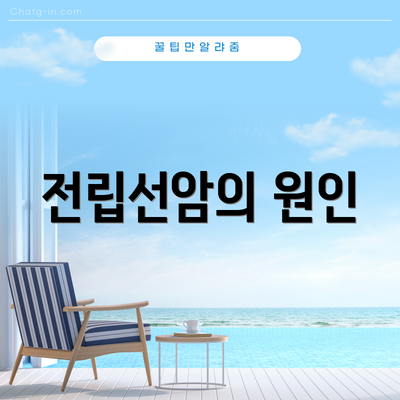 전립선암의 원인