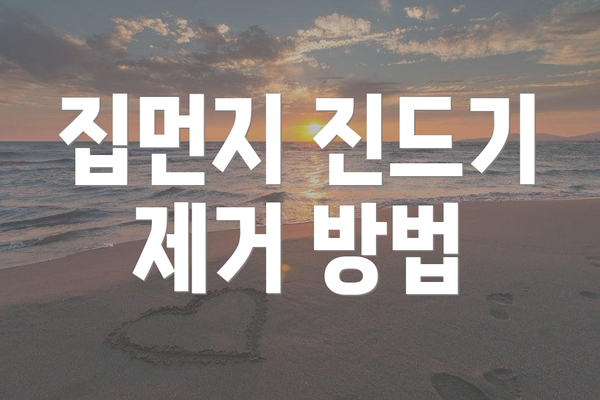 집먼지 진드기 제거 방법
