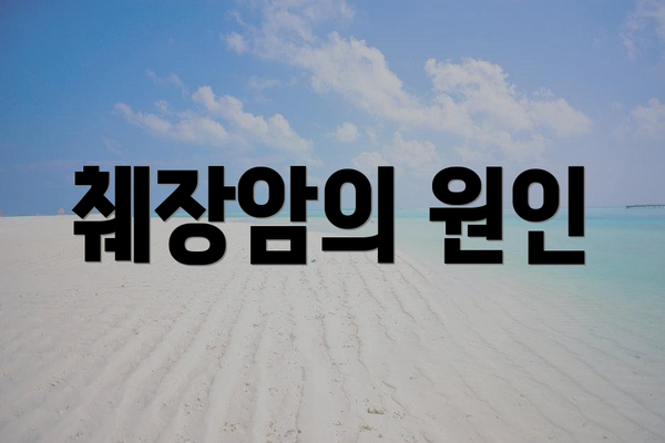 췌장암의 원인