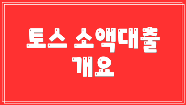 토스 소액대출 개요