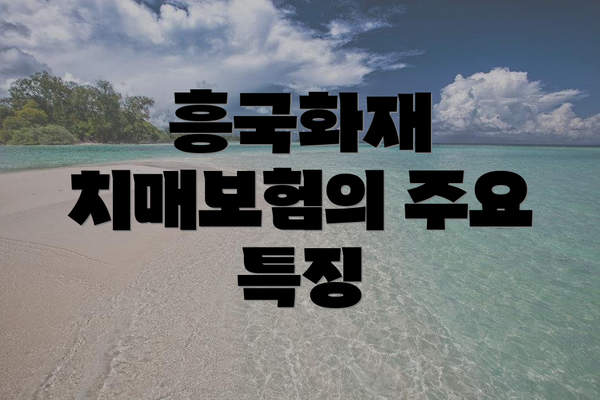 흥국화재 치매보험의 주요 특징