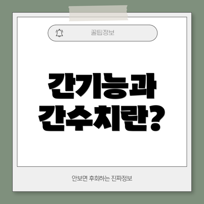 간기능과 간수치란?