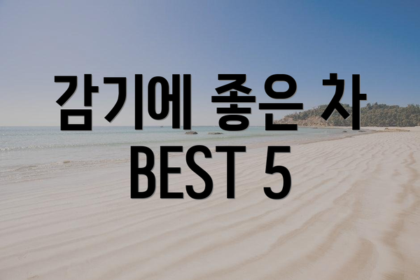 감기에 좋은 차 BEST 5