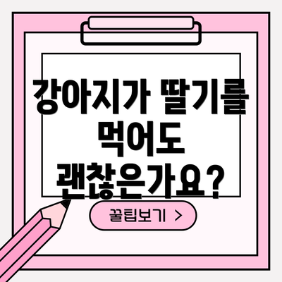 강아지가 딸기를 먹어도 괜찮은가요?