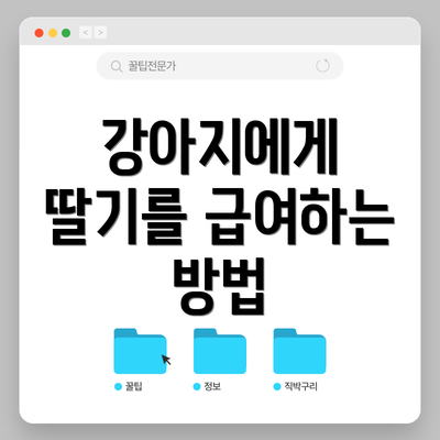 강아지에게 딸기를 급여하는 방법