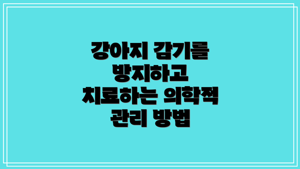 강아지 감기를 방지하고 치료하는 의학적 관리 방법