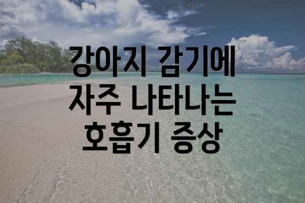 강아지 감기에 자주 나타나는 호흡기 증상