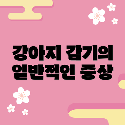 강아지 감기의 일반적인 증상