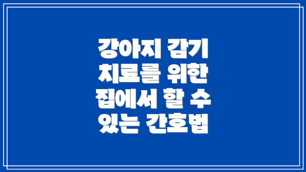 강아지 감기 치료를 위한 집에서 할 수 있는 간호법