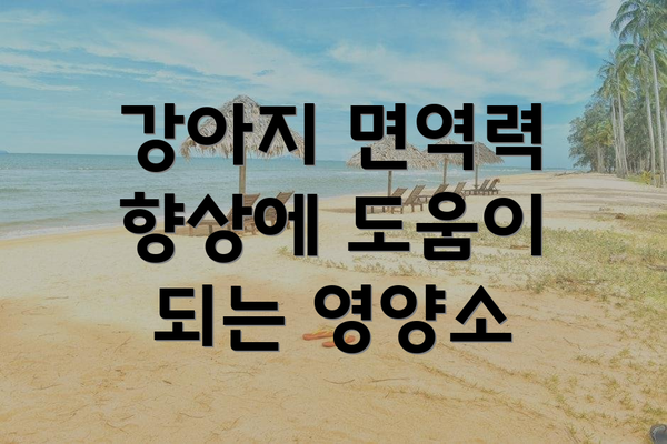 강아지 면역력 향상에 도움이 되는 영양소