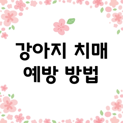 강아지 치매 예방 방법