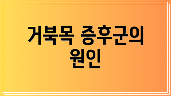 거북목 증후군의 원인