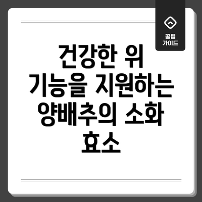 건강한 위 기능을 지원하는 양배추의 소화 효소
