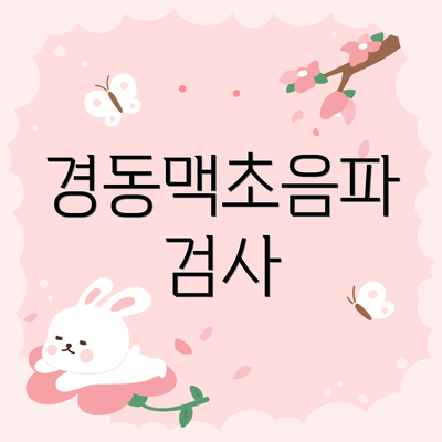 경동맥초음파 검사