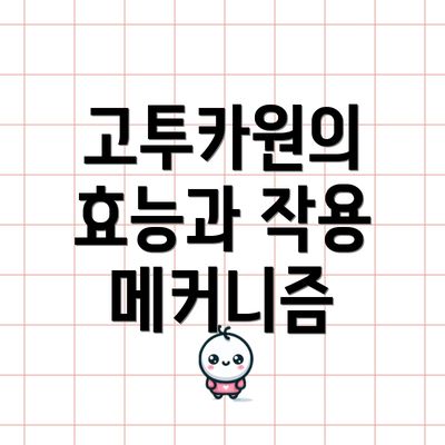 고투카원의 효능과 작용 메커니즘