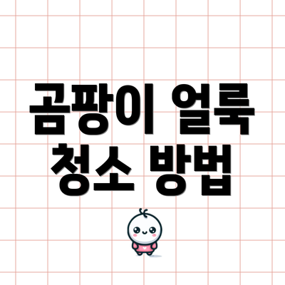곰팡이 얼룩 청소 방법