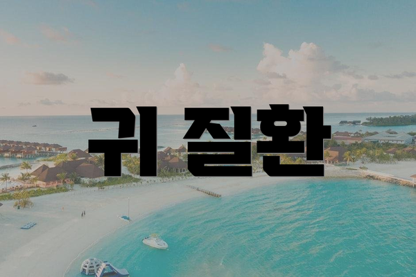 귀 질환