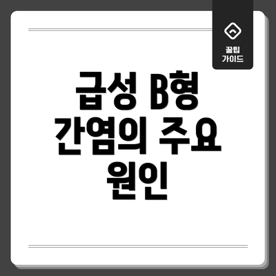 급성 B형 간염의 주요 원인