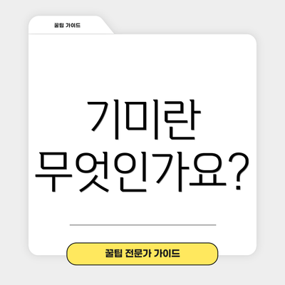 기미란 무엇인가요?