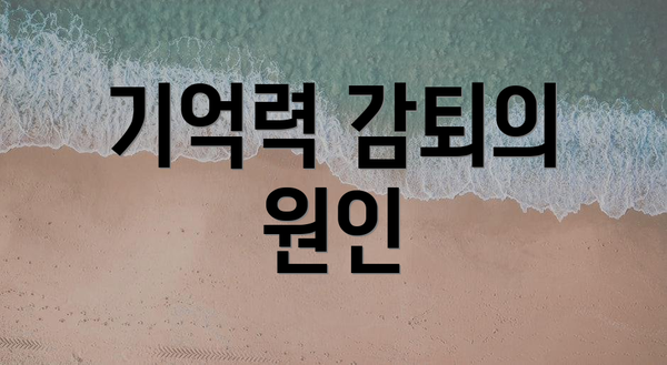 기억력 감퇴의 원인