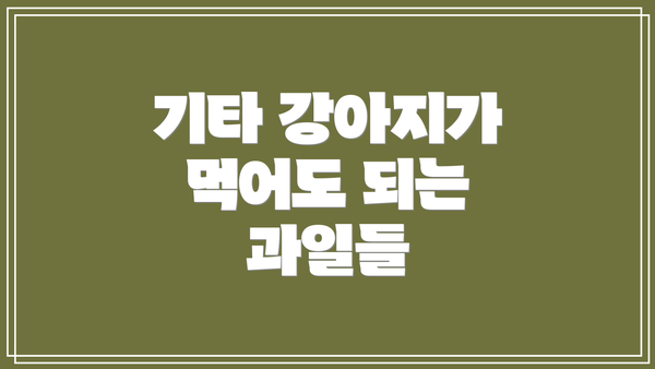 기타 강아지가 먹어도 되는 과일들
