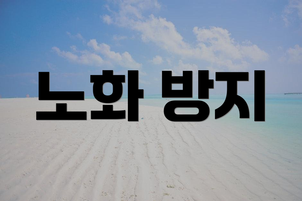 노화 방지