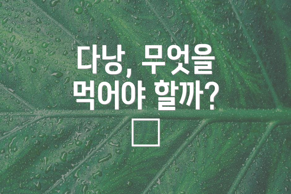 다낭, 무엇을 먹어야 할까? 🍜