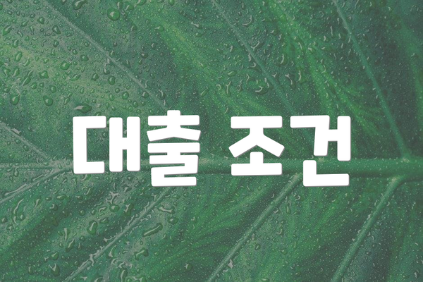 대출 조건