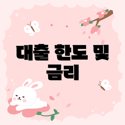 대출 한도 및 금리