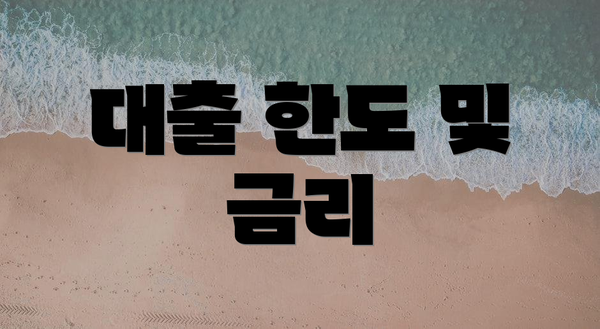 대출 한도 및 금리