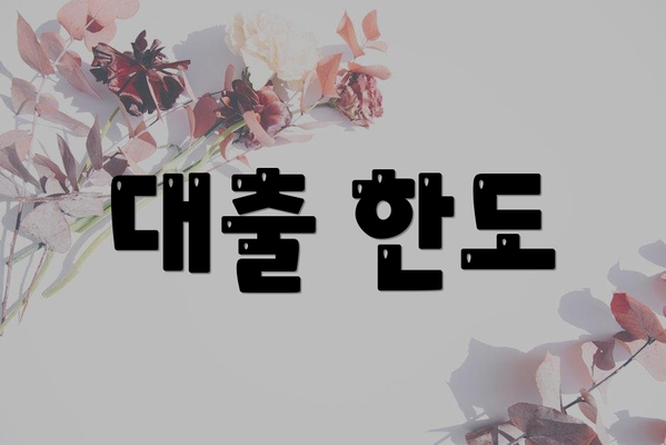 대출 한도