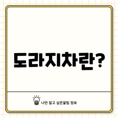 도라지차란?
