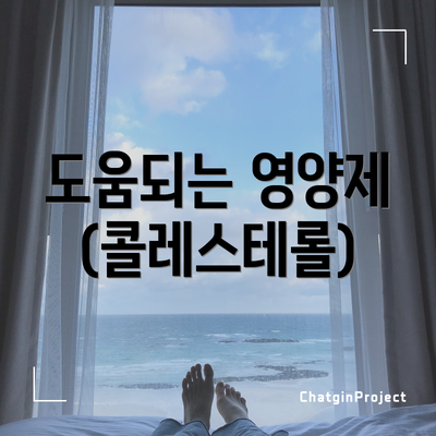 도움되는 영양제 (콜레스테롤)