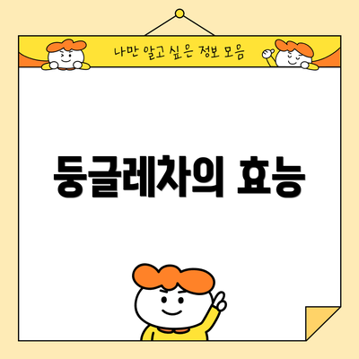 둥글레차의 효능