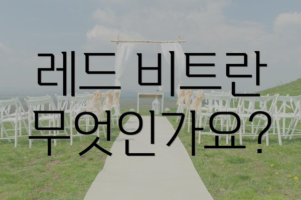 레드 비트란 무엇인가요?