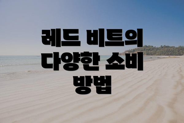레드 비트의 다양한 소비 방법