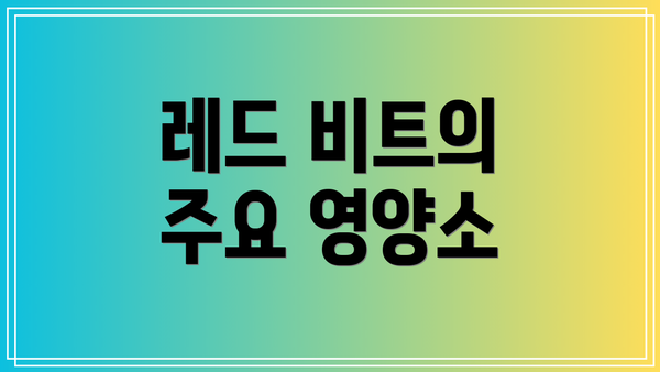레드 비트의 주요 영양소